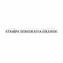 STAMPA SERIGRAFIA GRANDE 20X30