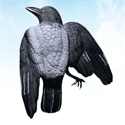 STAMPO CORNACCHIA MORTA