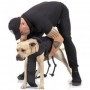 PETTORINA COMBAT-DOG NERA