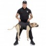 PETTORINA COMBAT-DOG ARANCIO