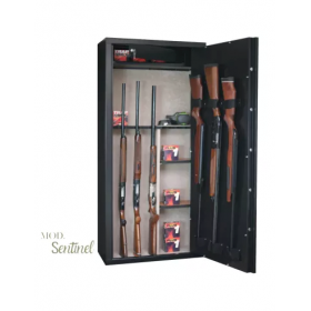 CASSAFORTE INFAC SENTINEL SD14