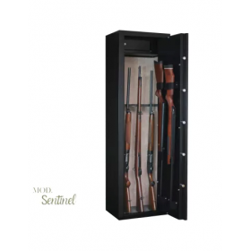 CASSAFORTE INFAC SENTINEL SD10