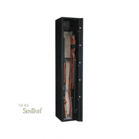 CASSAFORTE INFAC SENTINEL SD5